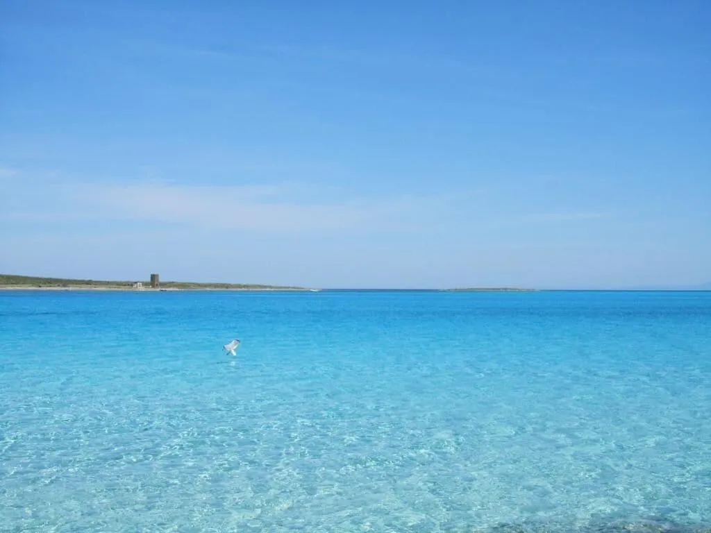 Beach, Hotel Ristorante Silvestrino, Cagliari