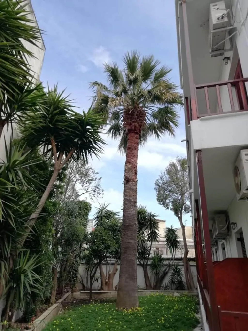 General view, Pothos Hotel, Skiathos