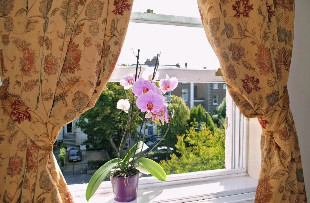 Room, Waterloo Lodge, Dublin
