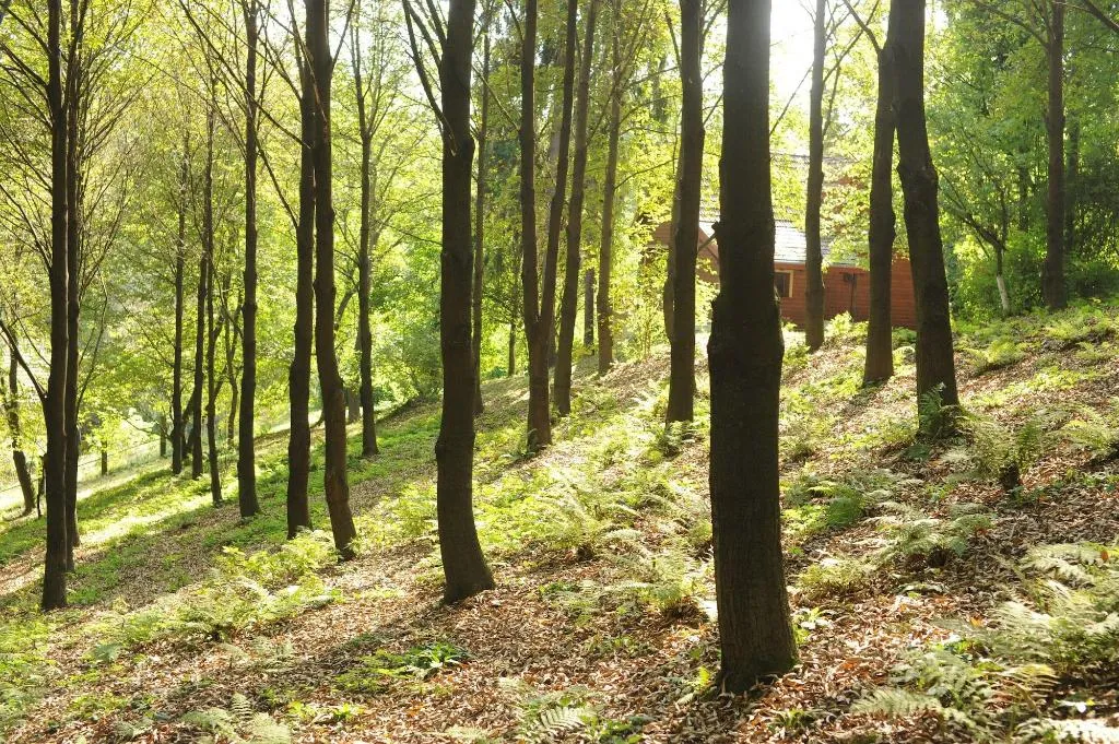 General view, Ekosamotnia Eco Dream Pension, Krakow
