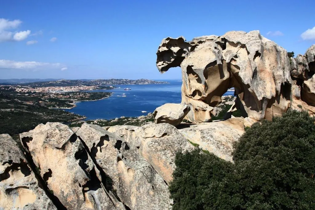 Sports and Entertainment, Hotel Piccada, Olbia