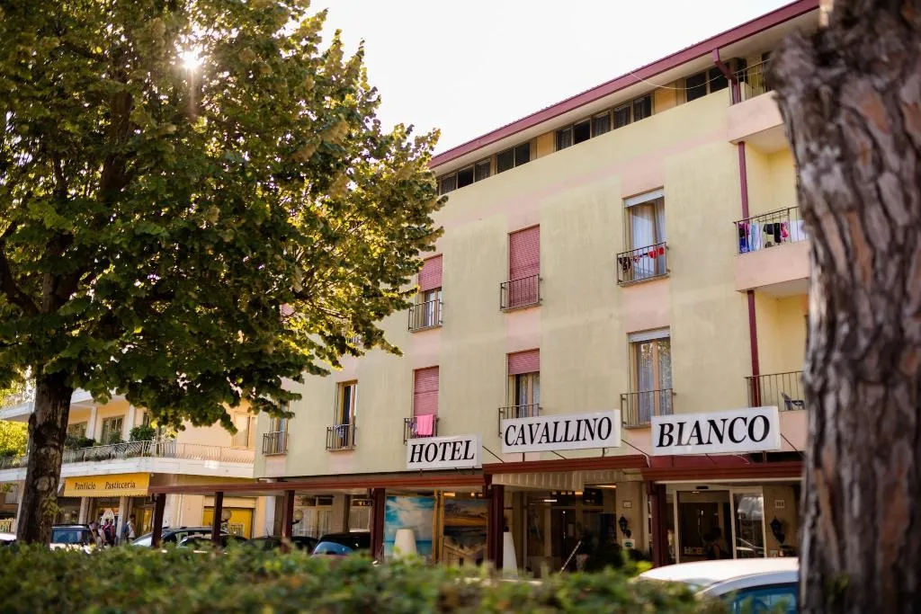 General view, Hotel Cavallino Bianco, Venice