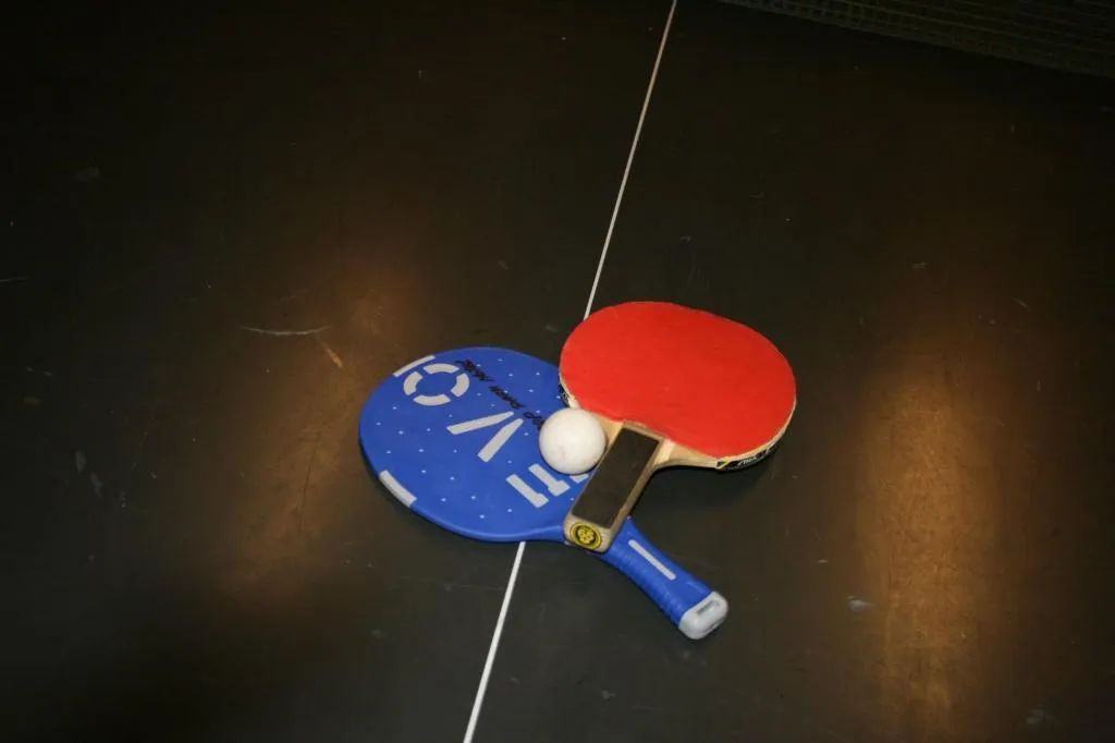 Sports and Entertainment, Taastrup Park Hotel, Copenhagen
