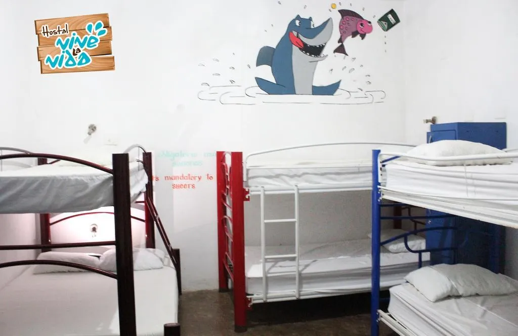 Bed in dormitory BUNK BED WITH SHARED BATHROOM Room, Hostal Vive La Vida, Playa Del Carmen