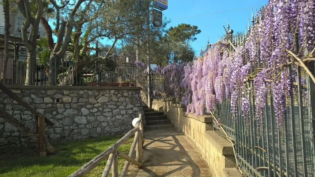 General view, Bellaria Relais, Naples