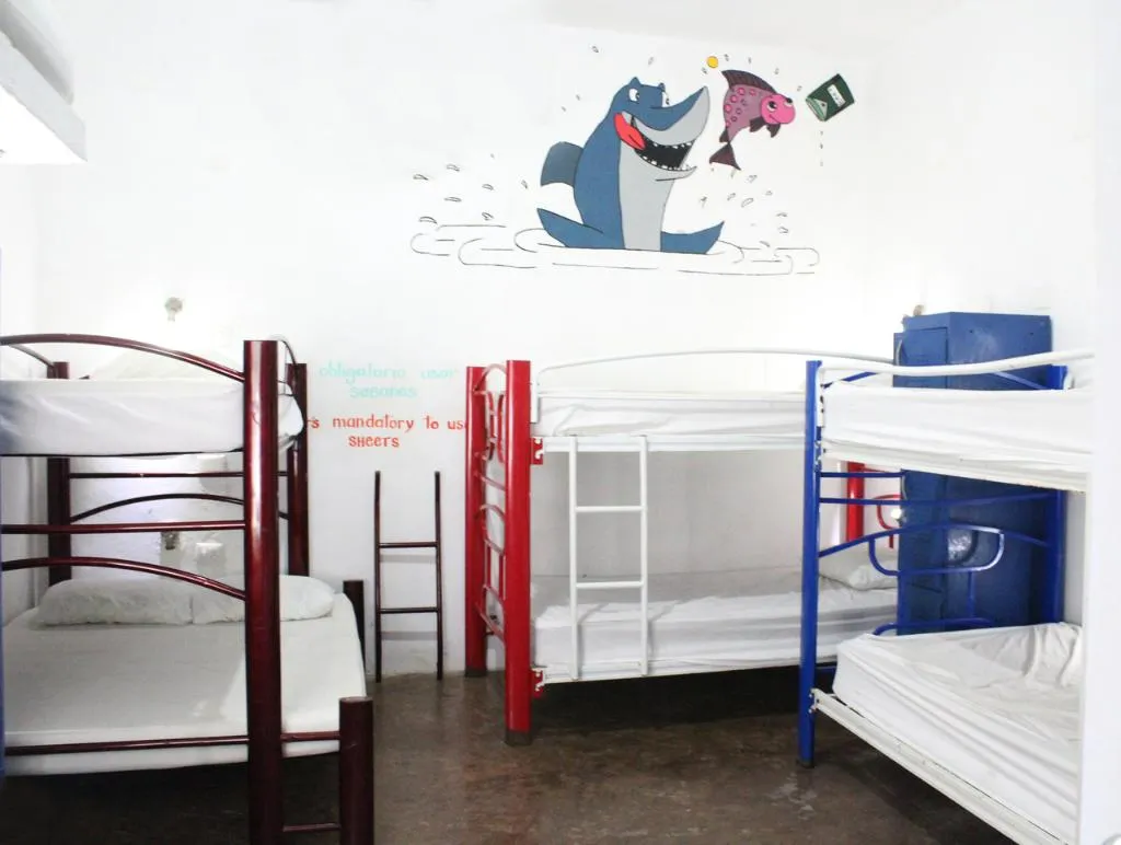 Bed in dormitory BUNK BED WITH SHARED BATHROOM Room, Hostal Vive La Vida, Playa Del Carmen