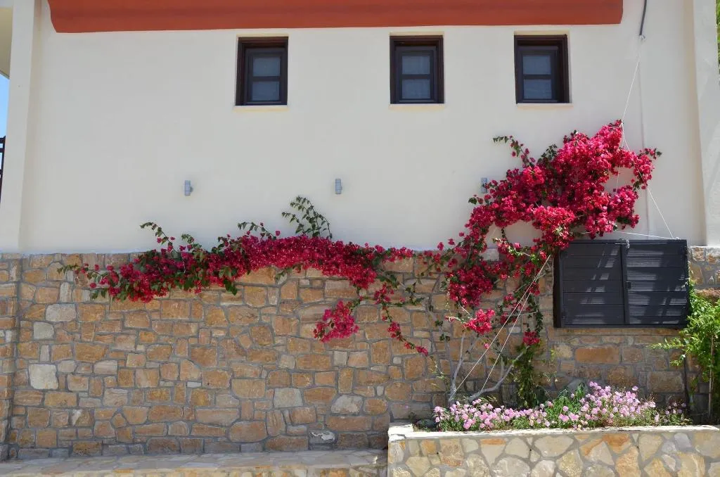 General view, Helianthus Guesthouse, Thessaloniki