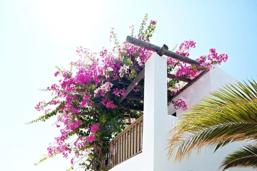 General view, Gümbet Cove Hotel, Bodrum