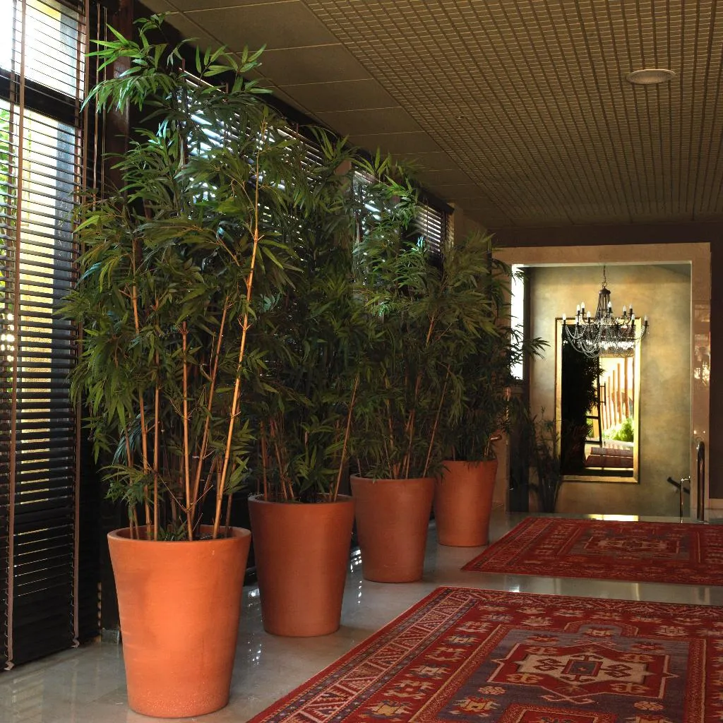 Lobby, Luna Park Hotel Yoga & Spa, Costa Brava