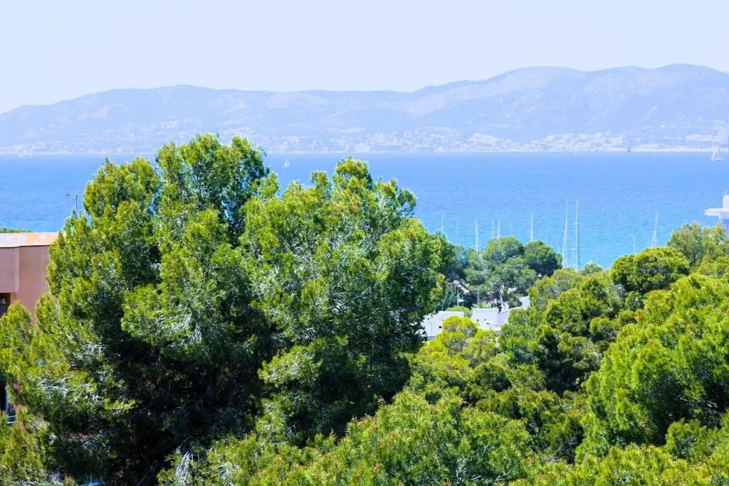 General view, Fenix Hotel, Majorca