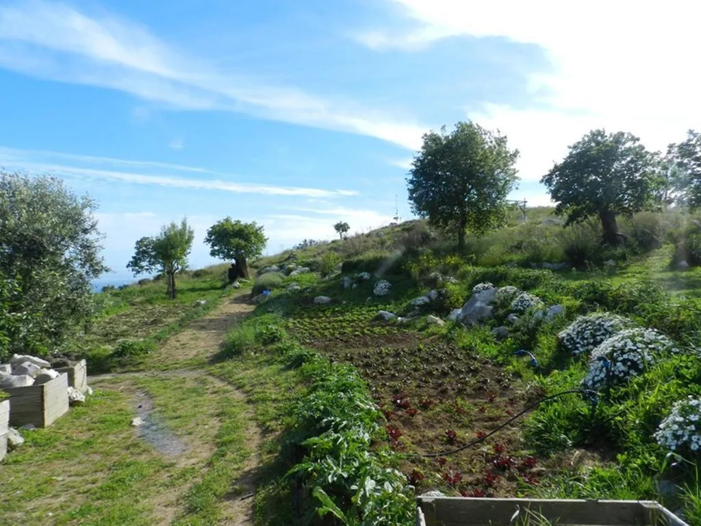 General view, Azienda Agricola Fattoria Terranov, Naples
