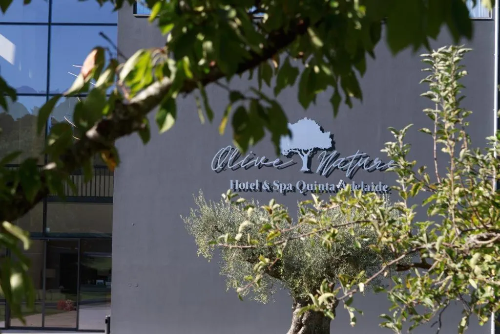 General view, Olive Nature Hotel & SPA - Quinta Valle de Passos, Porto