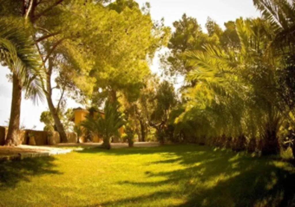 Terrace, Mont-Sant, Valencia