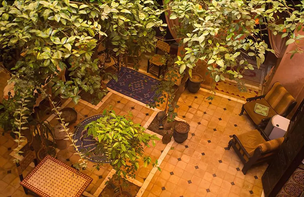 General view, Riad Sidi Omar, Marrakech