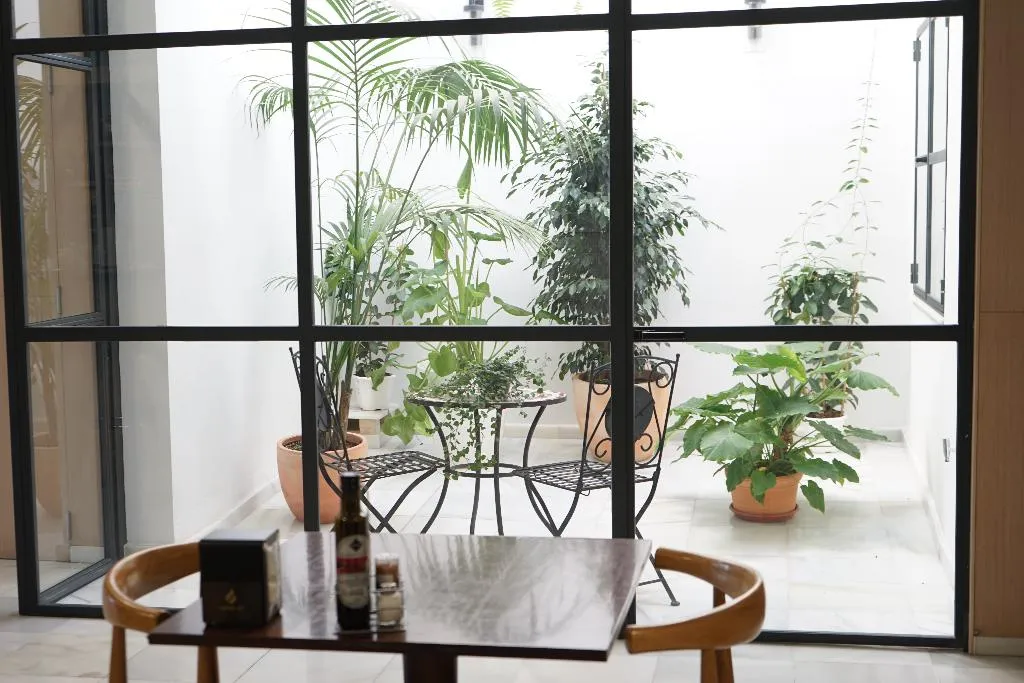 Terrace, Casbah, Valencia