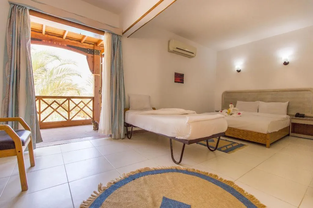 Room, Acacia Dahab Hotel, Red Sea Riviera