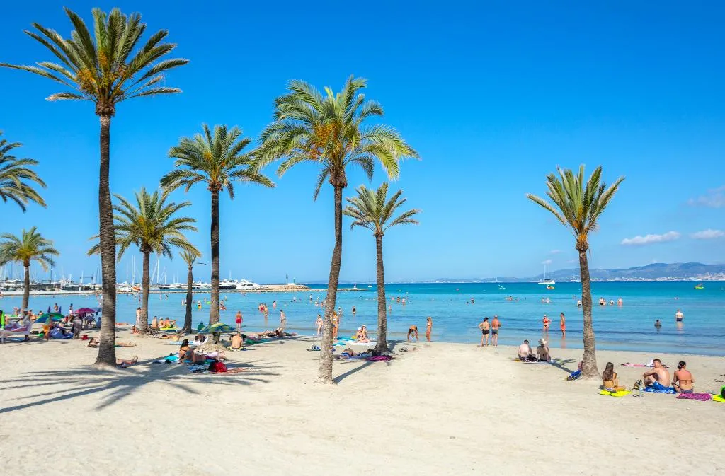 Beach, Kilimanjaro, Majorca