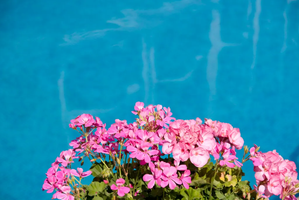 Pool, Kristel, Varna