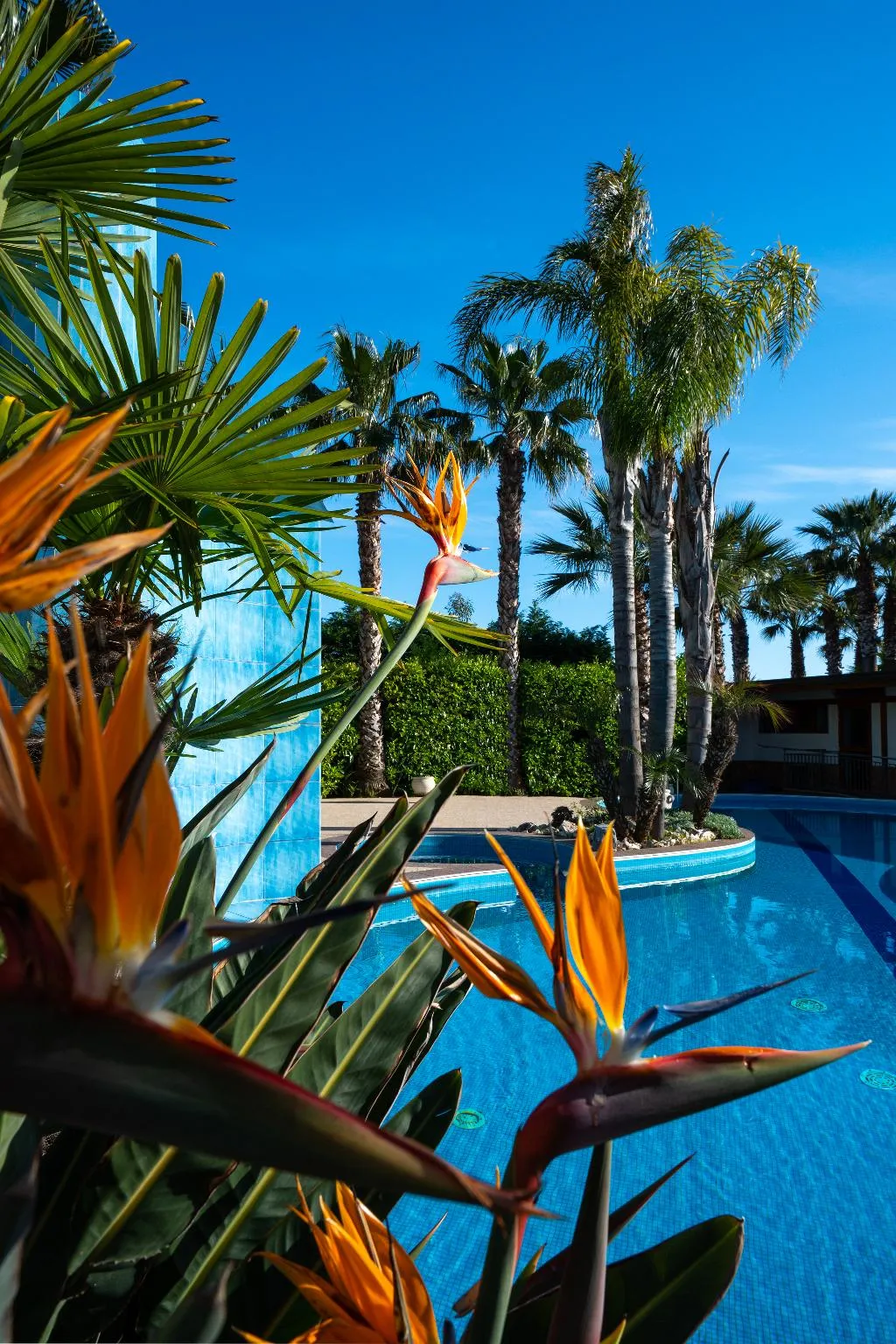 Pool, Hotel San Luca, Naples