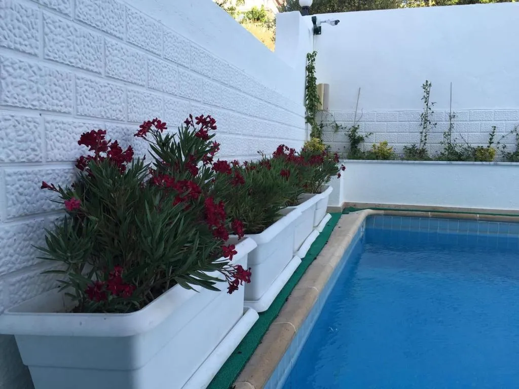 Sports and Entertainment, Cicek Apart Hotel, Izmir