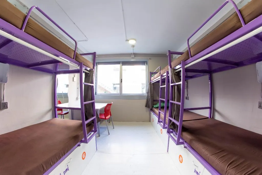 Bed in dormitory FEMALE ROOM Room, Scout Madrid Hostel, Madrid