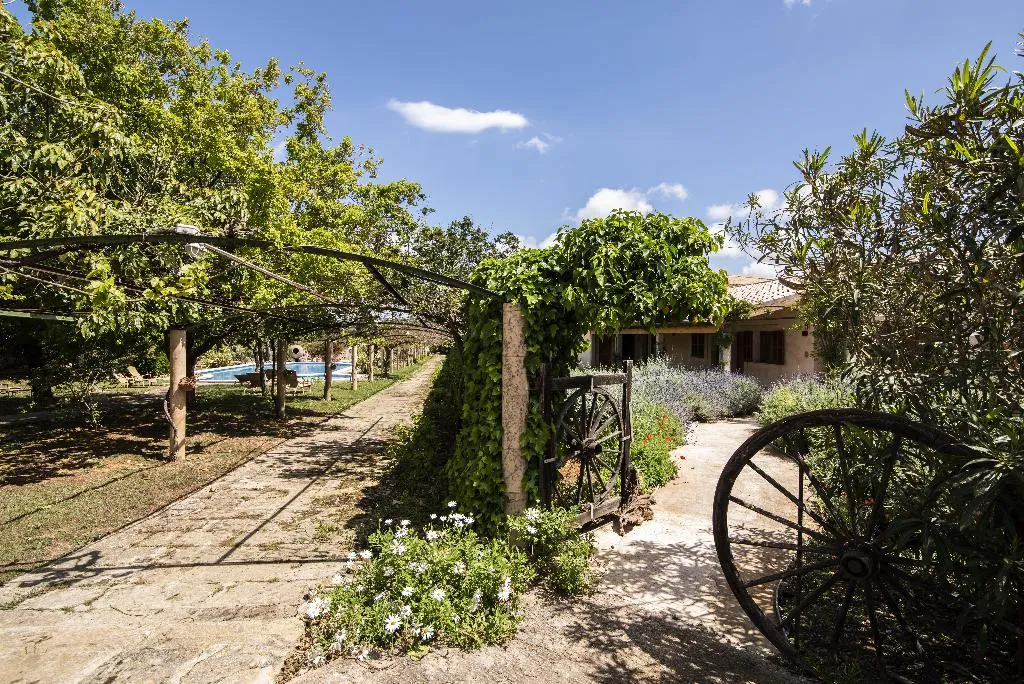 Terrace, Aumallia Hotel & Spa, Majorca