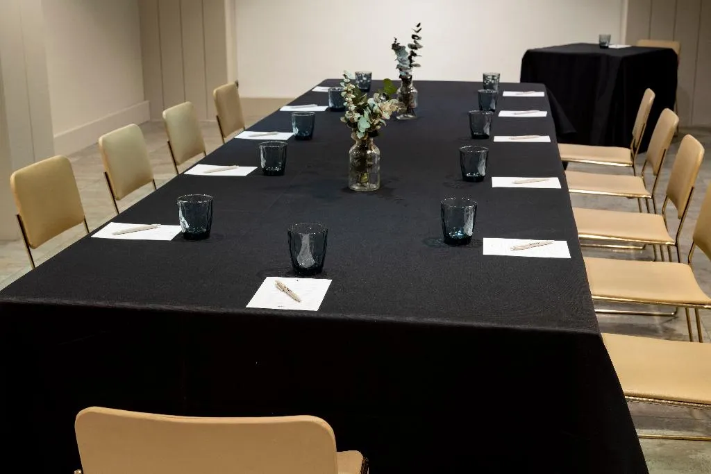 Conferences, Intelier Rosa, Valencia