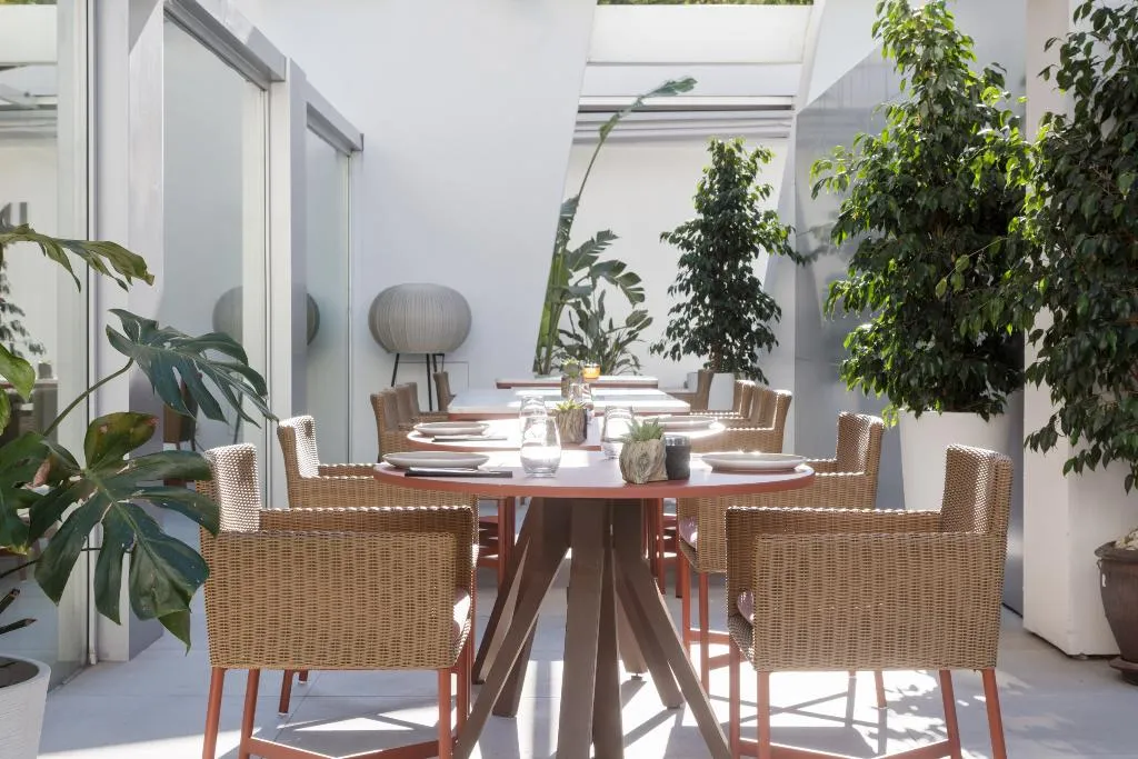 Terrace, Innside Palma Bosque Hotel, Majorca