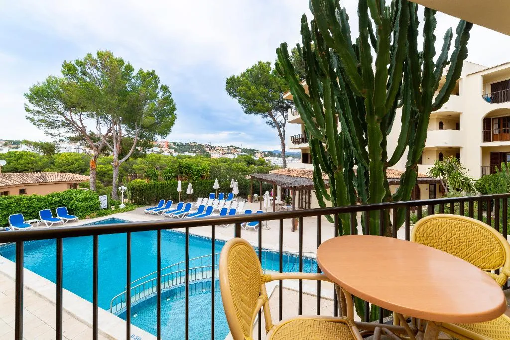 Pool, Apartamentos Casa Vida, Majorca