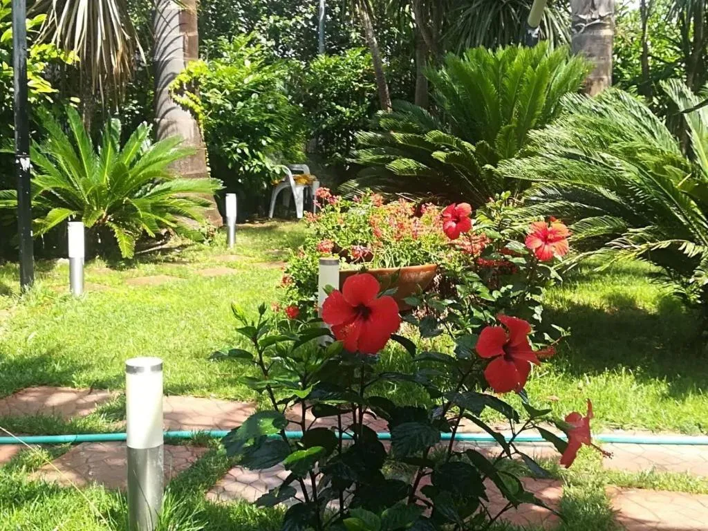 General view, Beatrice Home B&B, Naples
