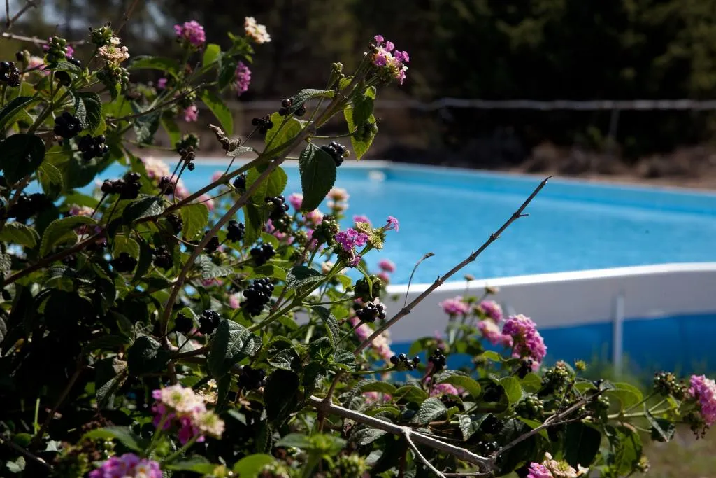 Pool, Club Esse Gallura Beach Village, Olbia