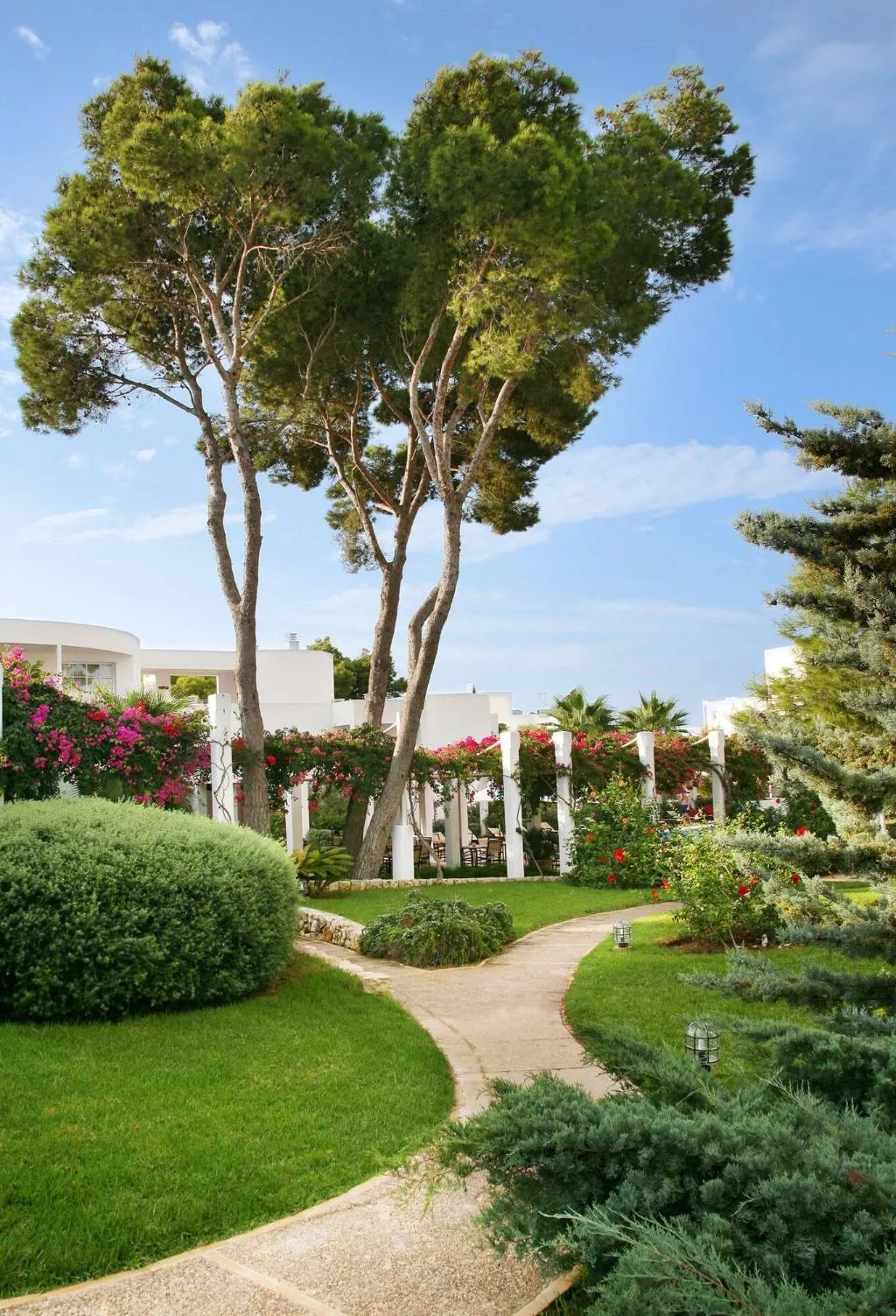 Terrace, Melia Cala d'Or Boutique Hotel, Majorca