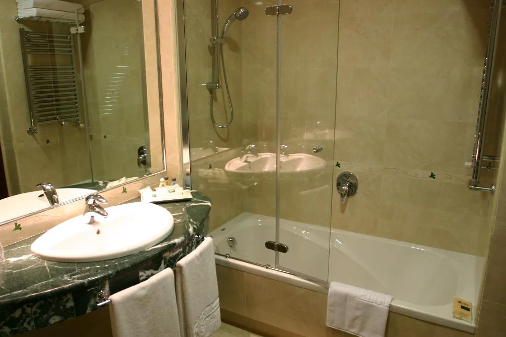 DOUBLE STANDARD Room, Sercotel Guadiana, Madrid