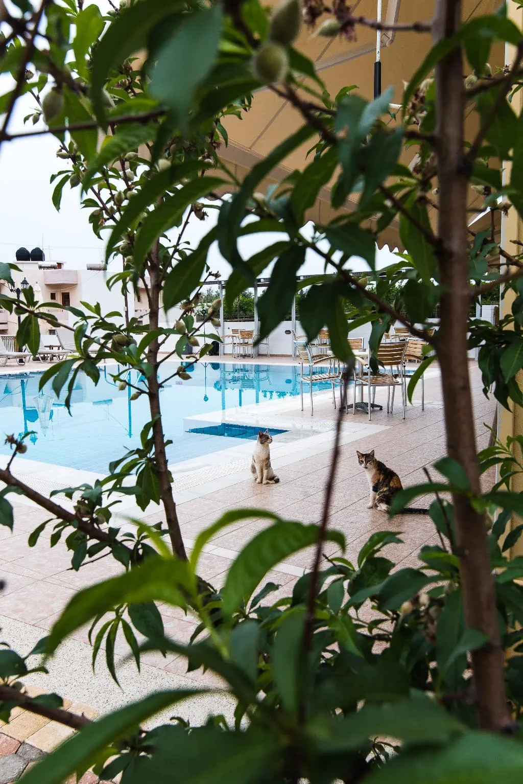 Pool, Newcastle Studios, Crete