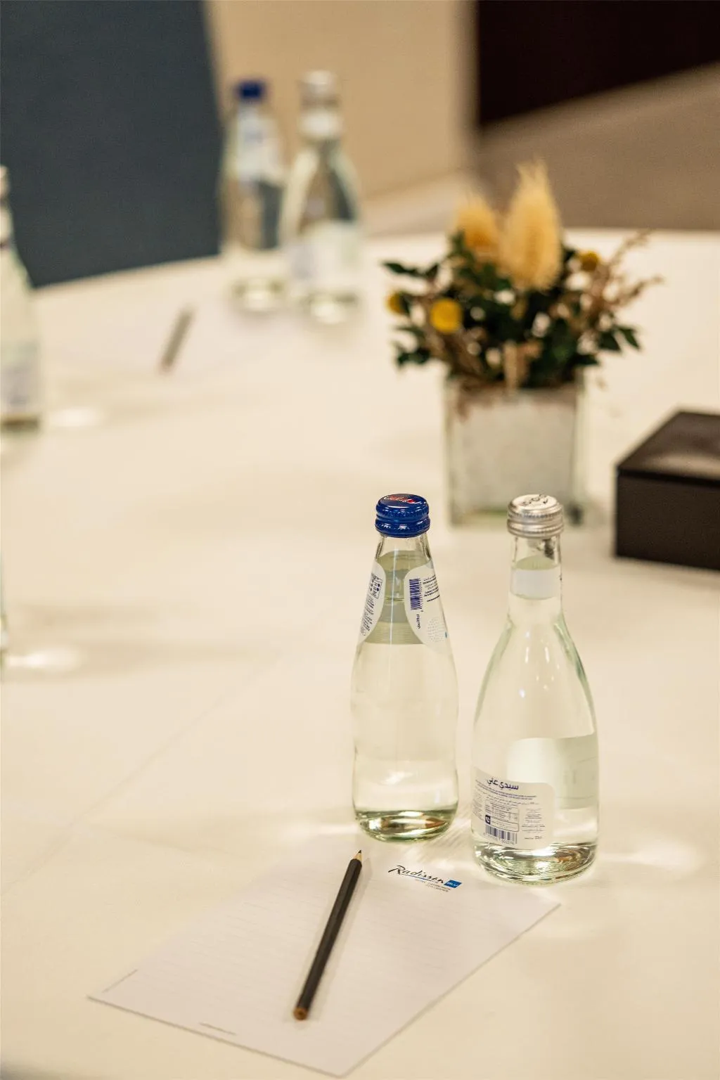 Conferences, Radisson Blu Hotel Casablanca City Center, Casablanca