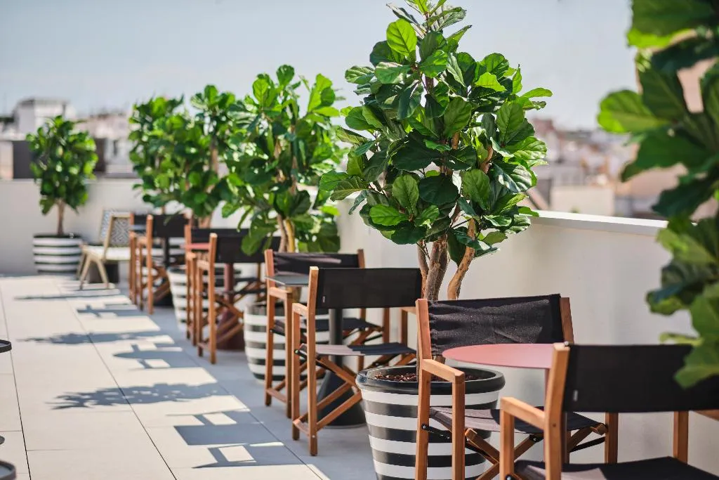 Terrace, ESTIMAR Valencia, Valencia
