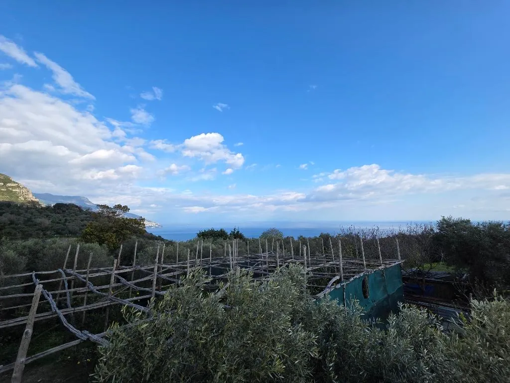 DOUBLE STANDARD Room, Agriturismo Piccolo Paradiso, Naples