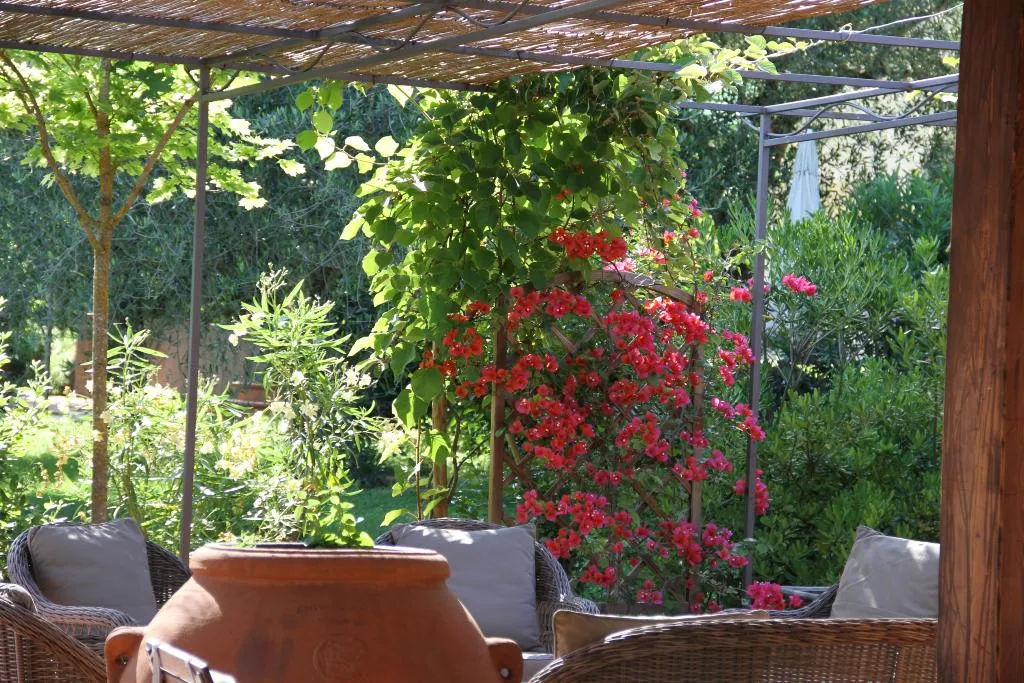 Terrace, Villa Rigacci, Florence