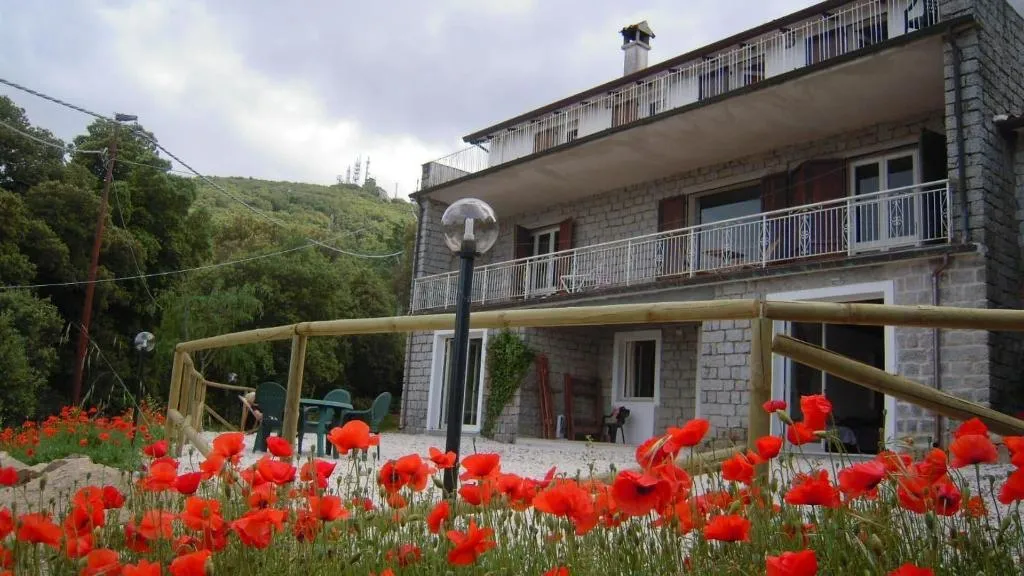 General view, Casa Solotti, Olbia