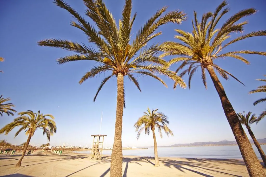 Beach, Mediterranean bay, Majorca