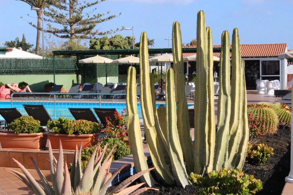 General view, Bungalows Parque Sol, Gran Canaria