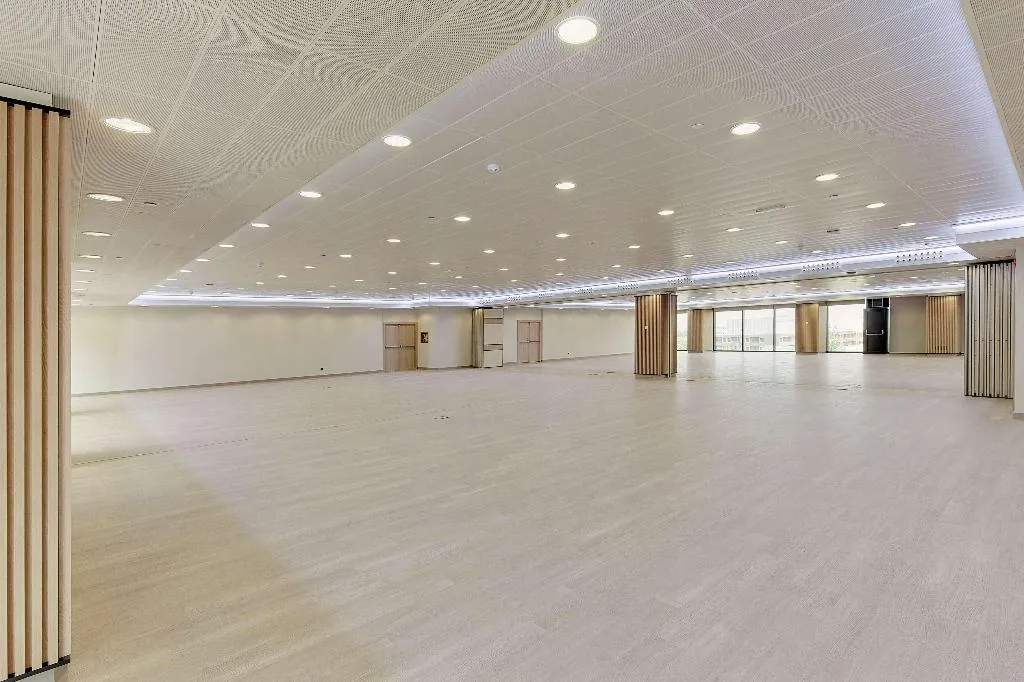 Conferences, Melia Avenida America, Madrid