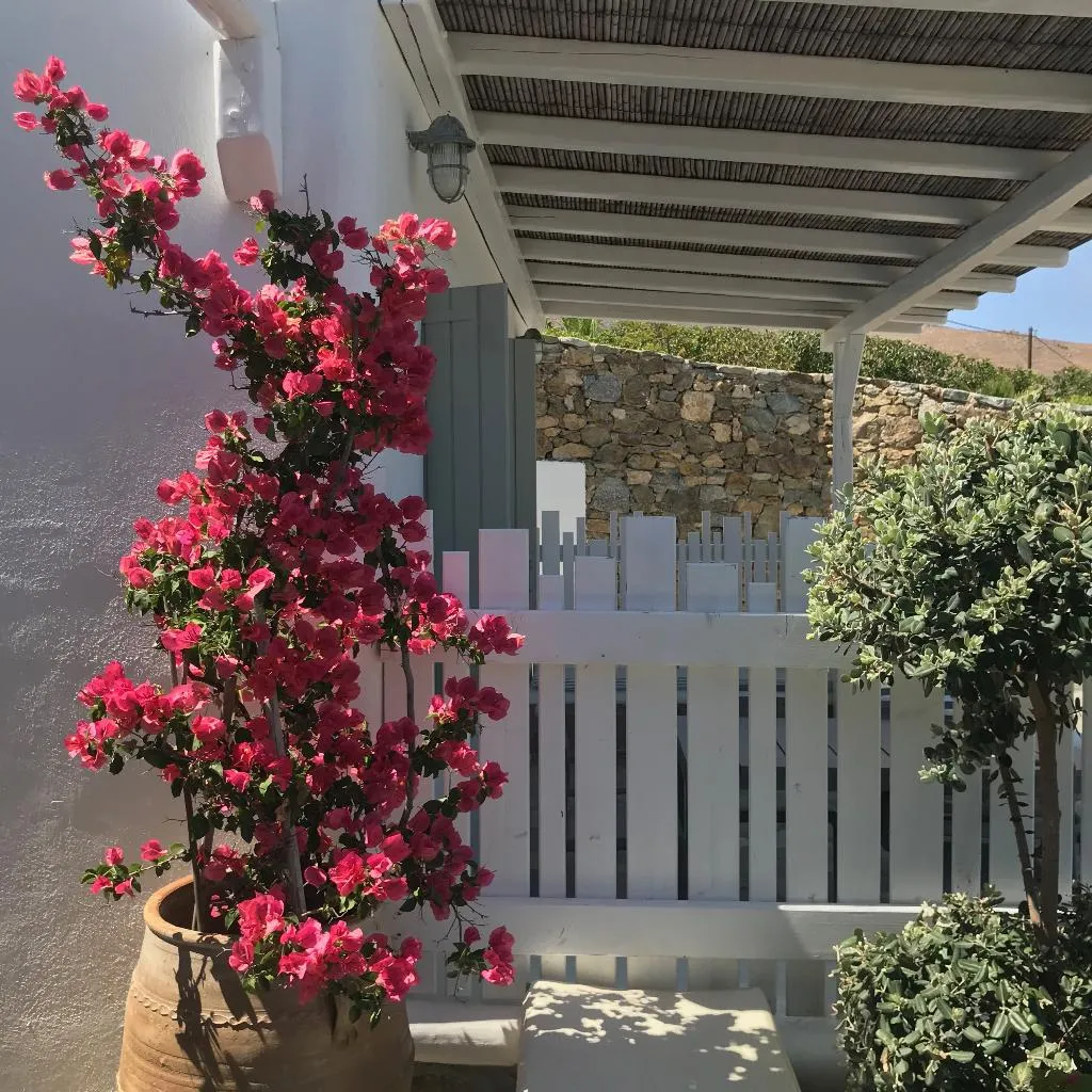 General view, Yakinthos Residence, Mykonos