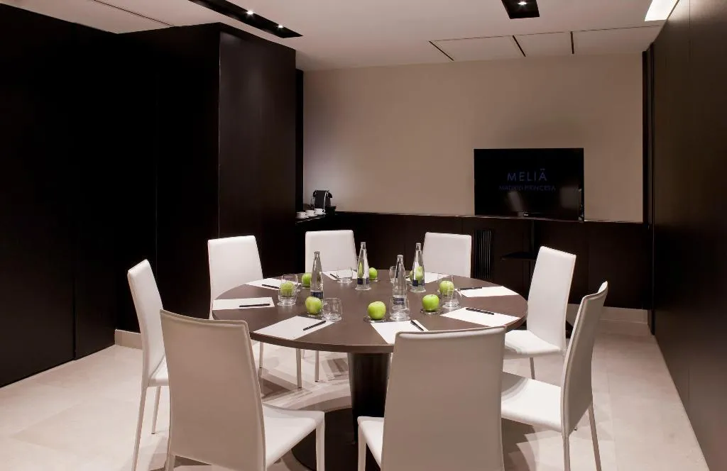 Conferences, Melia Madrid Princesa, Madrid
