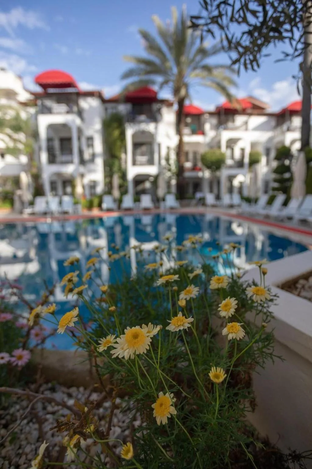 Pool, Mitos Apartments, Dalaman