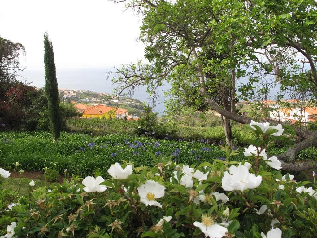 General view, Quinta Das Vinhas, Madeira
