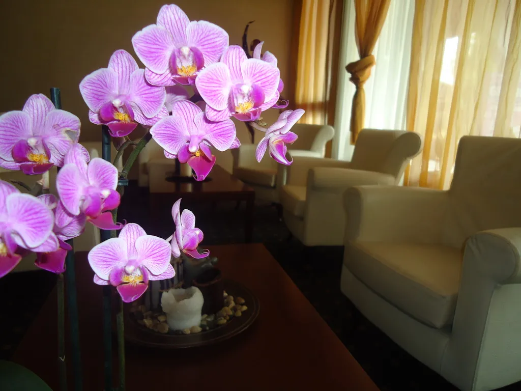Lobby, Moon Palace Hotel, Milan