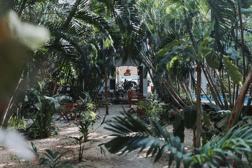 General view, Hotel Casa Barbara Holbox, Cancun Area