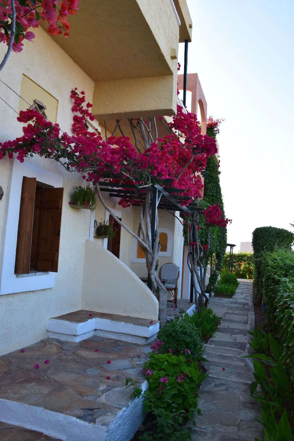 Terrace, Mila malia studios hotel, Crete
