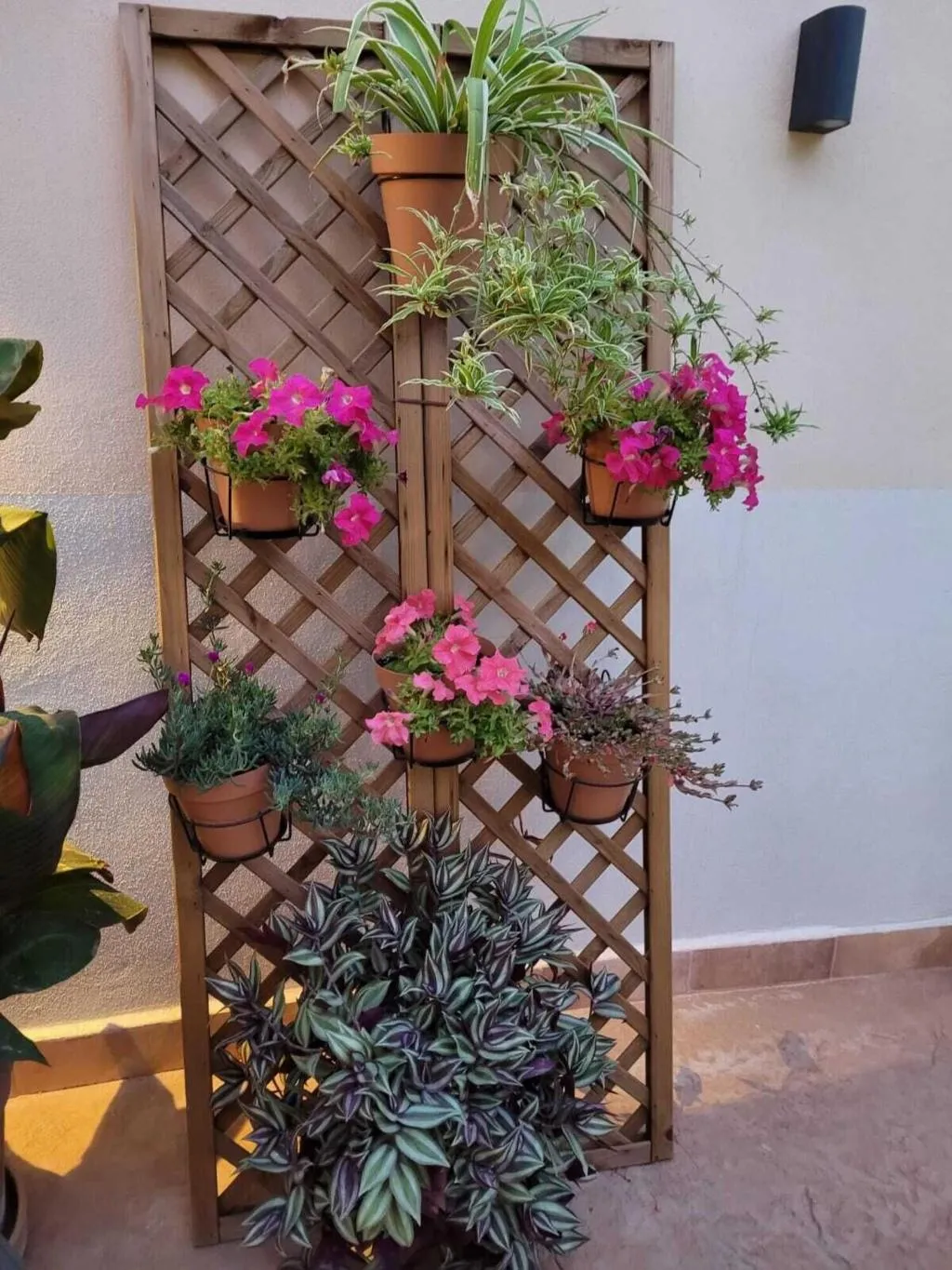 Terrace, Casal de Petra - Rooms & Pool, Majorca
